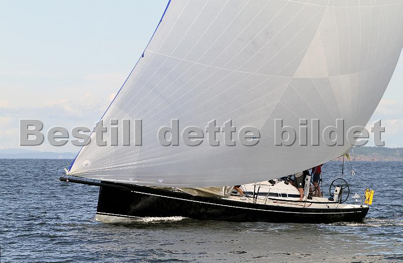 ORCi2 249.jpg